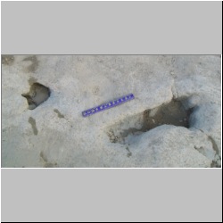 100_0391 (2009-26-07)cr.jpg